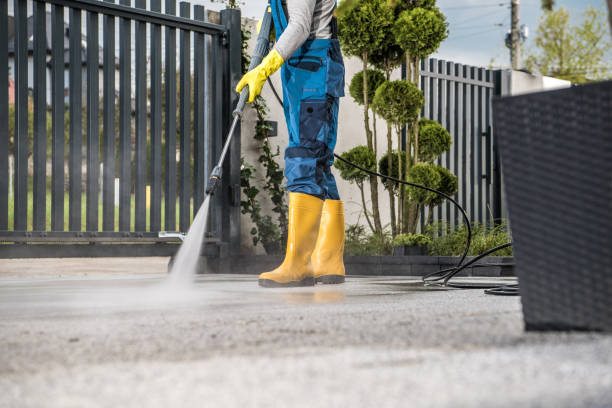 Best Roof Washing  in Bainbridge Island, WA